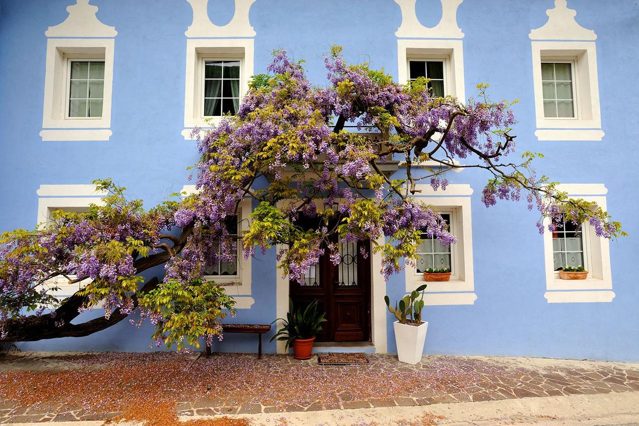 The Blue House Hotel Tolmin Exterior foto